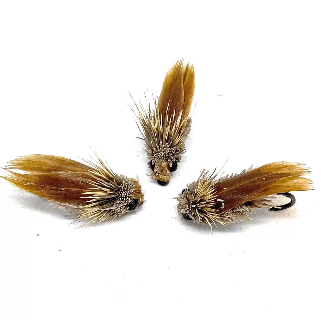 Cicada Brown Dry Fly dry terrestrial hooks 8 10 12 fly fishing