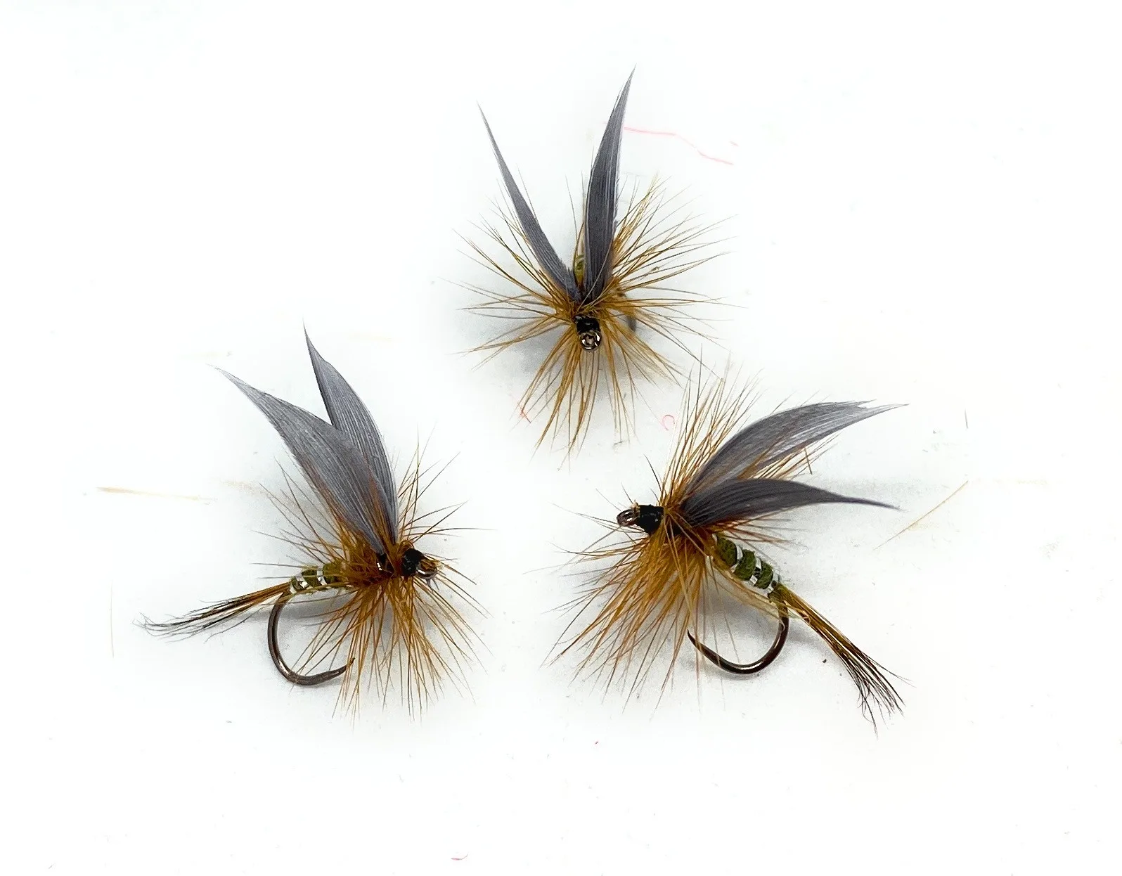 GreenWells Glory classic dry fly hook 12 14 16 fly fishing