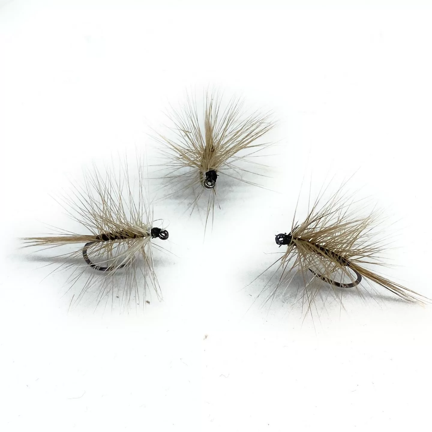 Grey Palmer Dry Fly secche tricotteri set 3 mosche ami 6-16 pesca mosca