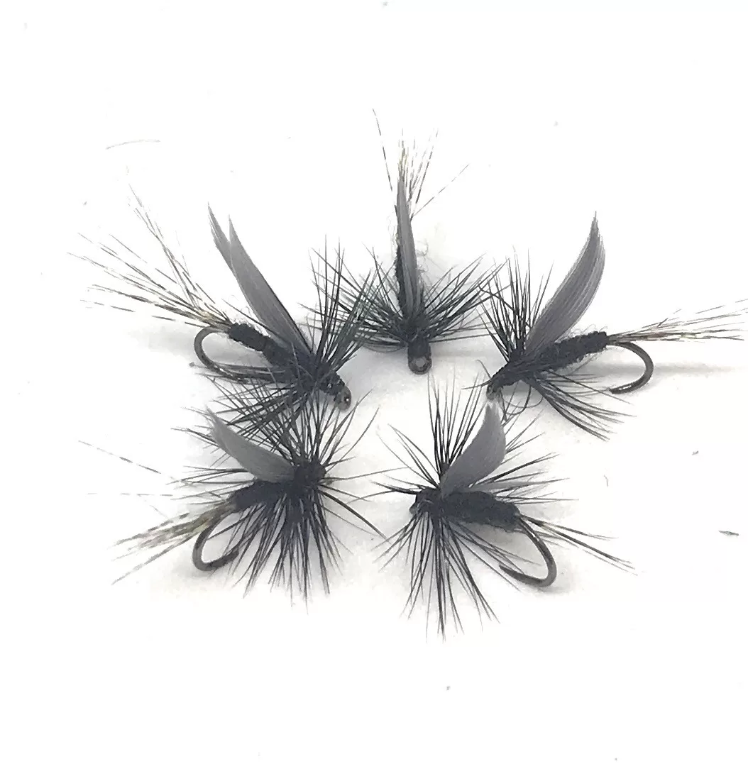 Mouche d'Ornans Black Dry Fly secche amo 16 18 20 pesca mosca