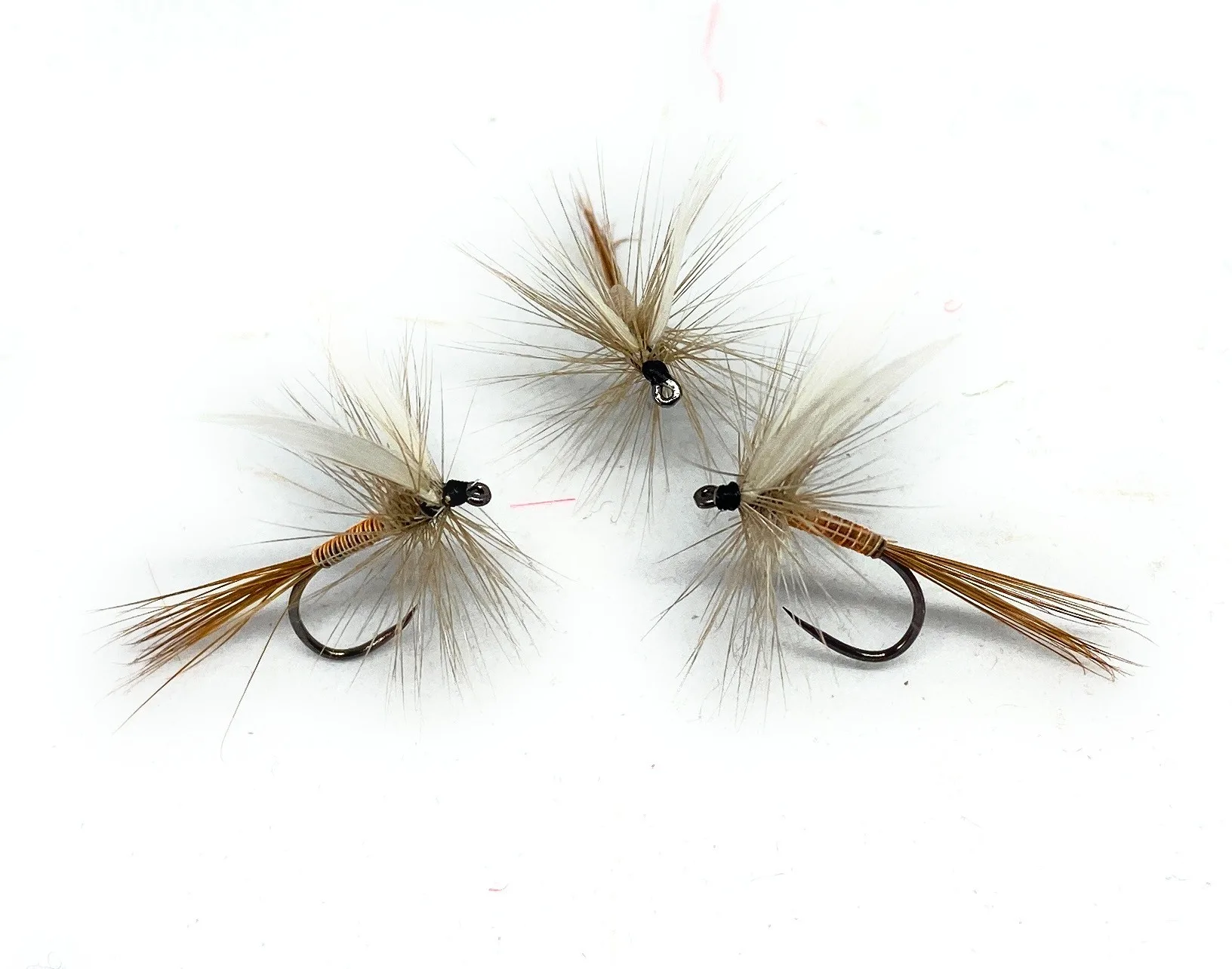 Orange Quill Traditional Dry Fly secche, 3 mosche artificiali amo 12-18 pesca mosca