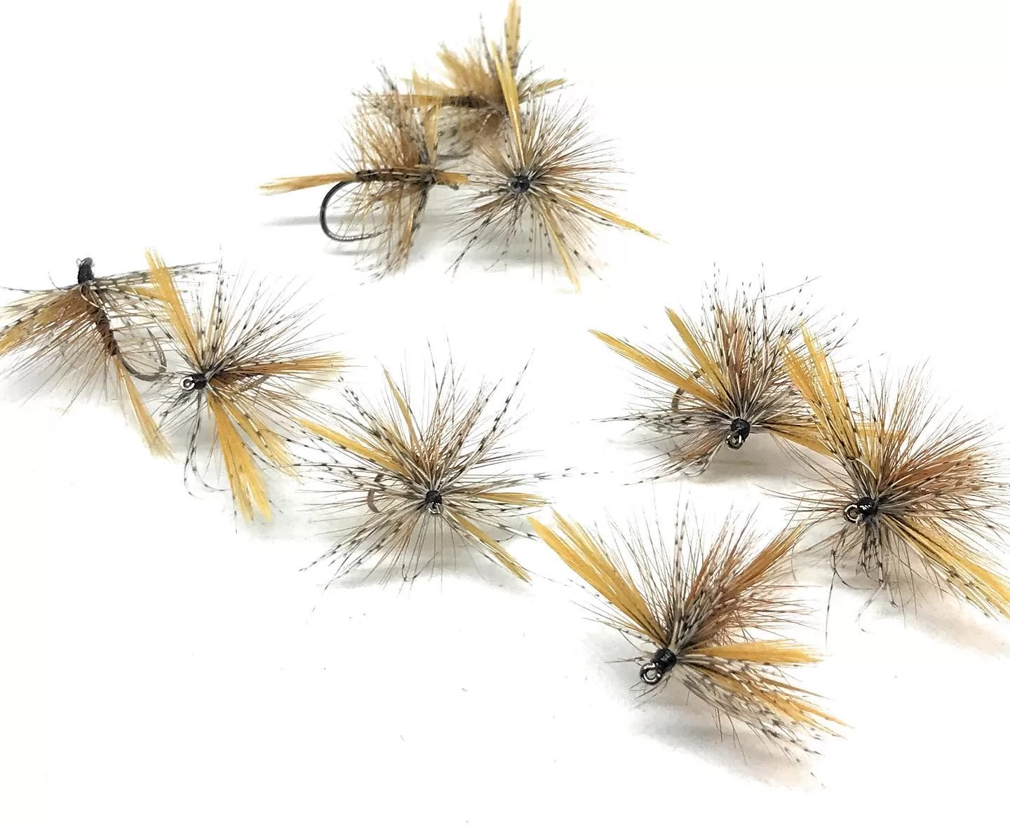 Panama Dry Fly 3 mosche artificiali secche tricotteri, ami 6-16