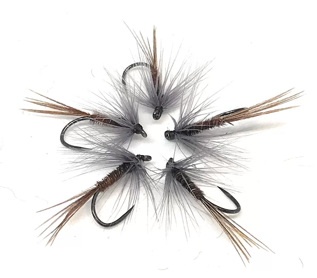 Pheasant Tail Wet Fly sommerse amo 10-20 pesca a mosca