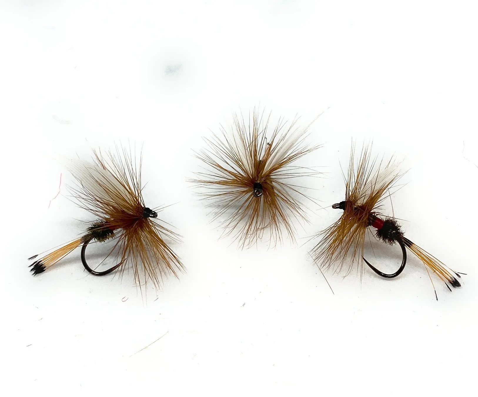 Royal Coachman Traditional Dry Fly secche amo 10 12 14 16 pesca a mosca