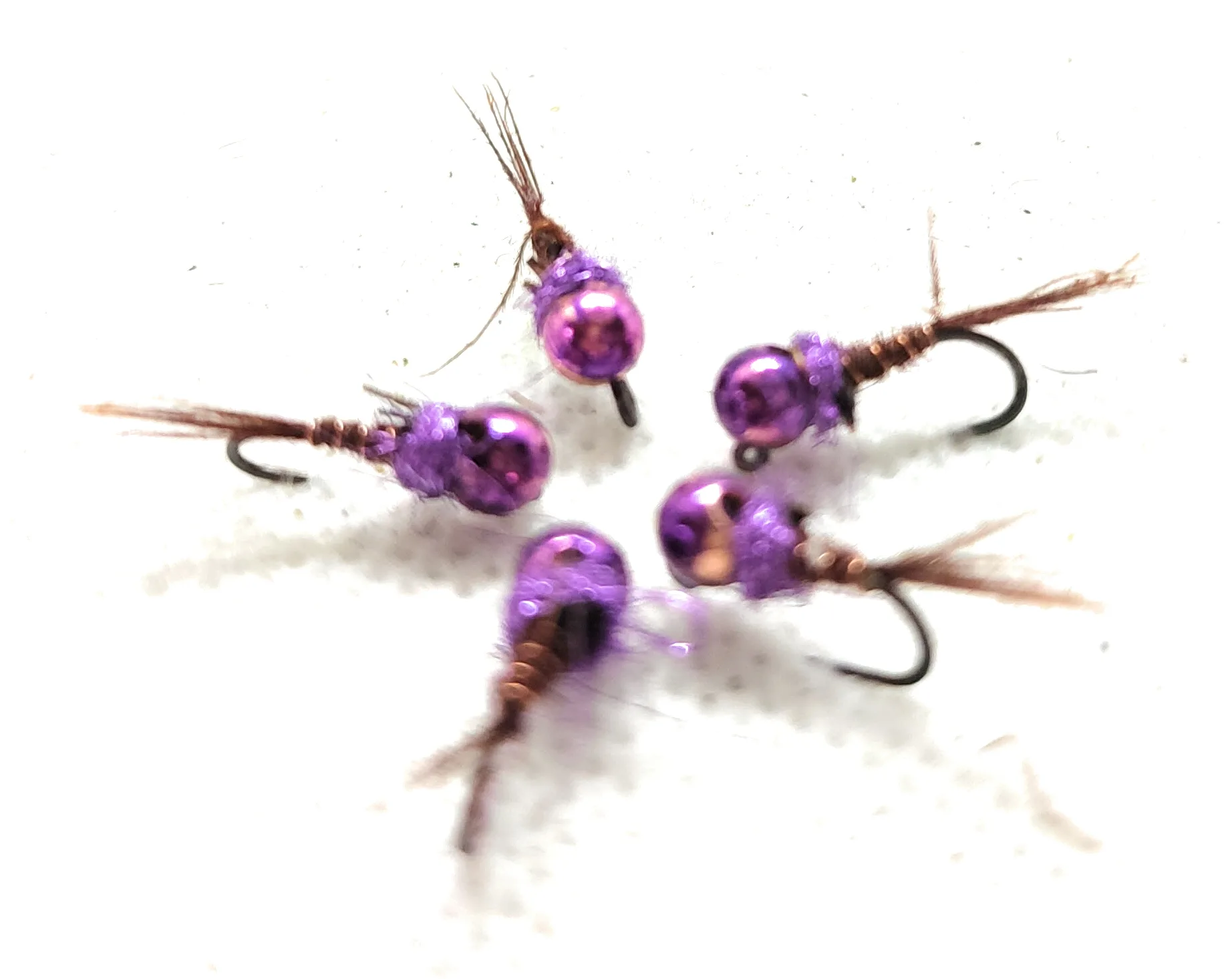 Pheasant & Violet Head Jig Nymph amo 10-16 mosche artificiali pesca a mosca