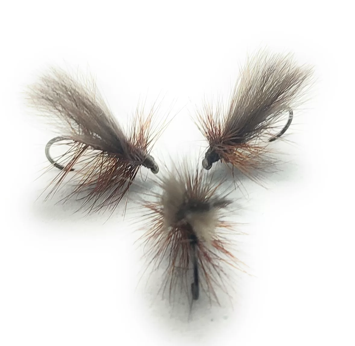 CDC Caddis Dun Dry Fly secche tricotteri amo 12 14 16 18 pesca a mosca