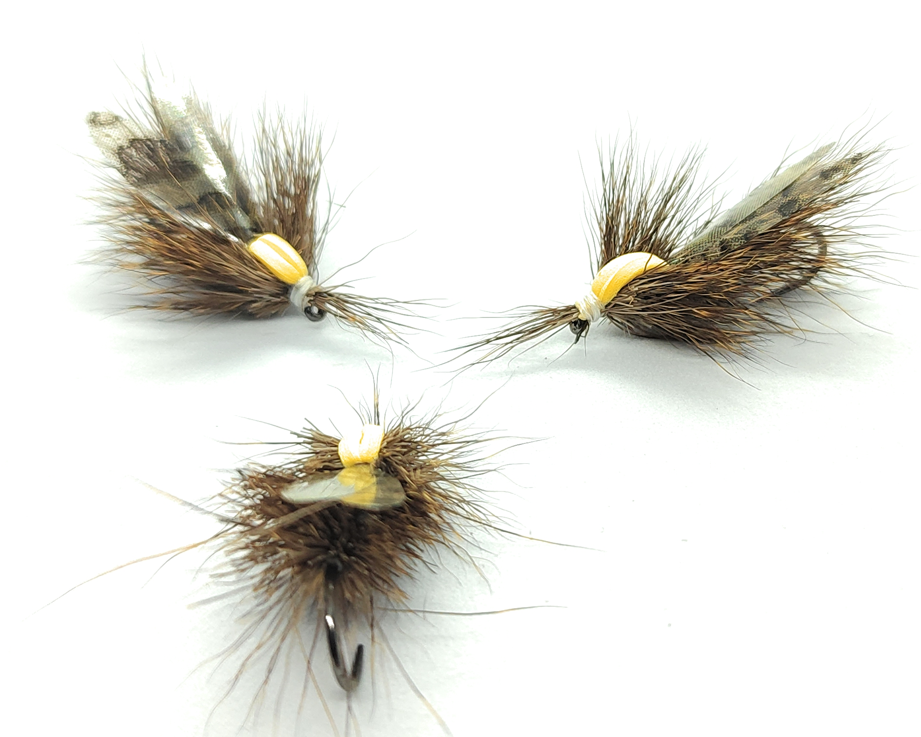 Grandis Stonefly Stravacca mouche sèche plécoptère hameçon 10 12 6 8 pêche à la mouche