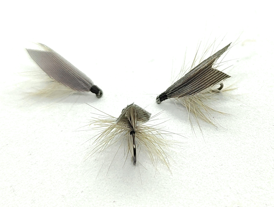 Simple Roof Wing Caddis grau - Köcherfliegen-Trockenfliegen Haken 10-16