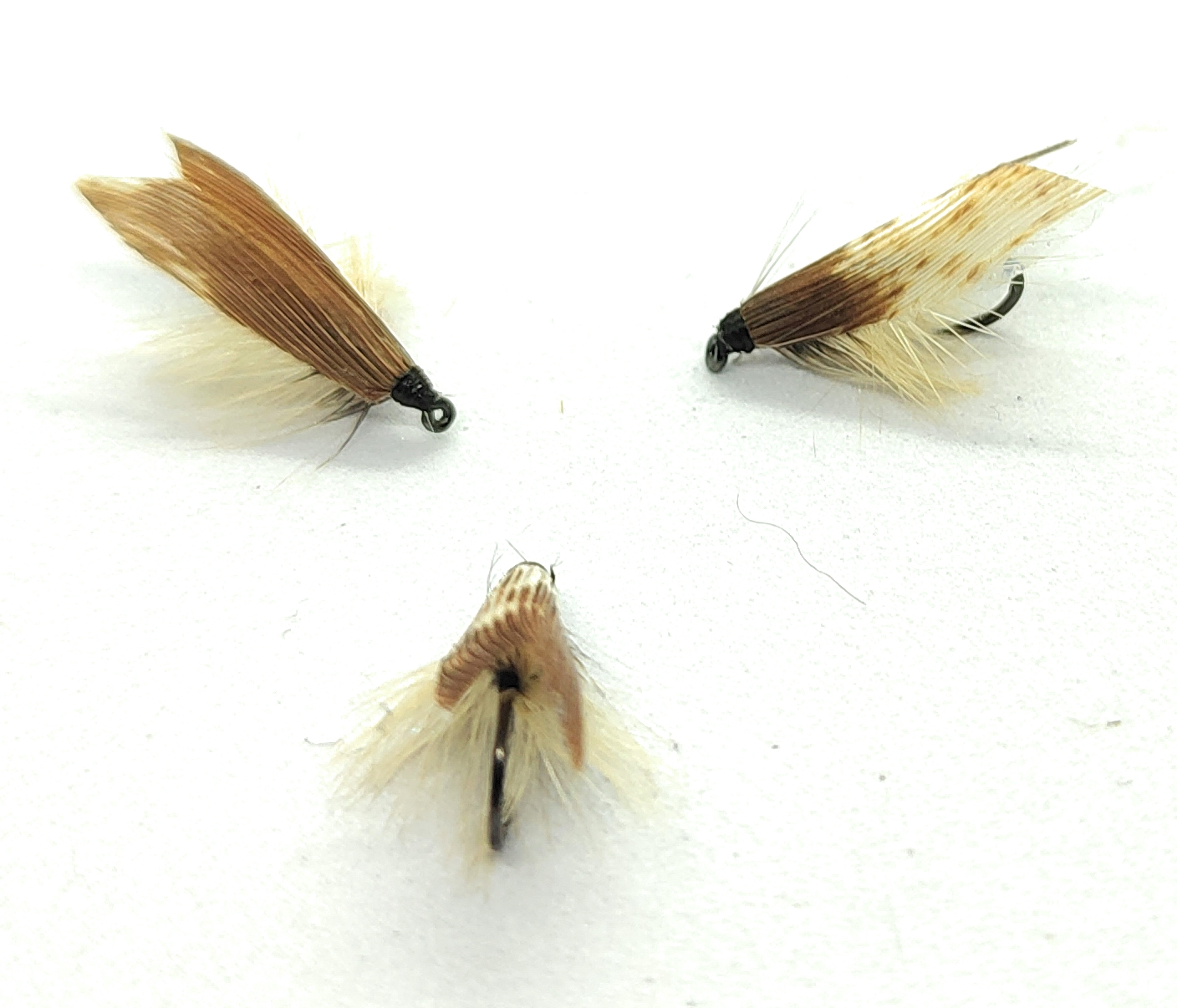 Simple Roof Wing Caddis Tan Variegated mouche sèche trichoptère hameçon 10-16